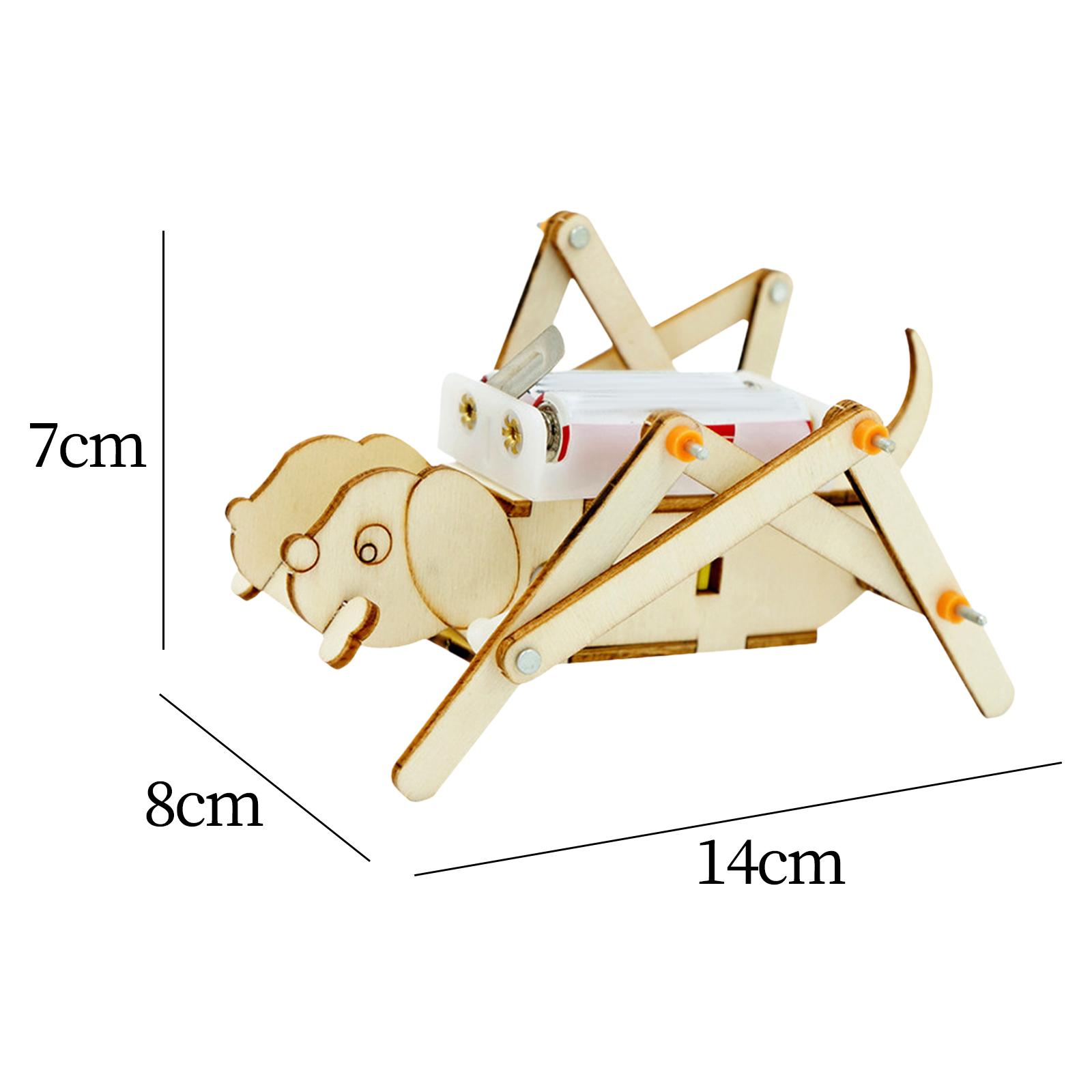 DIY Wooden Model Set Science K - Science Project Toys Making review and price
