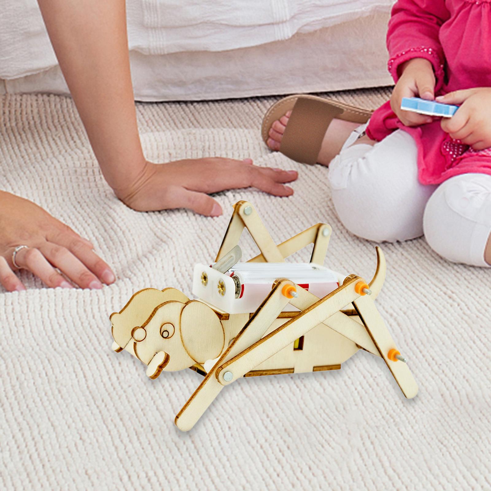 DIY Wooden Model Set Science K - Science Project Toys Making review and price