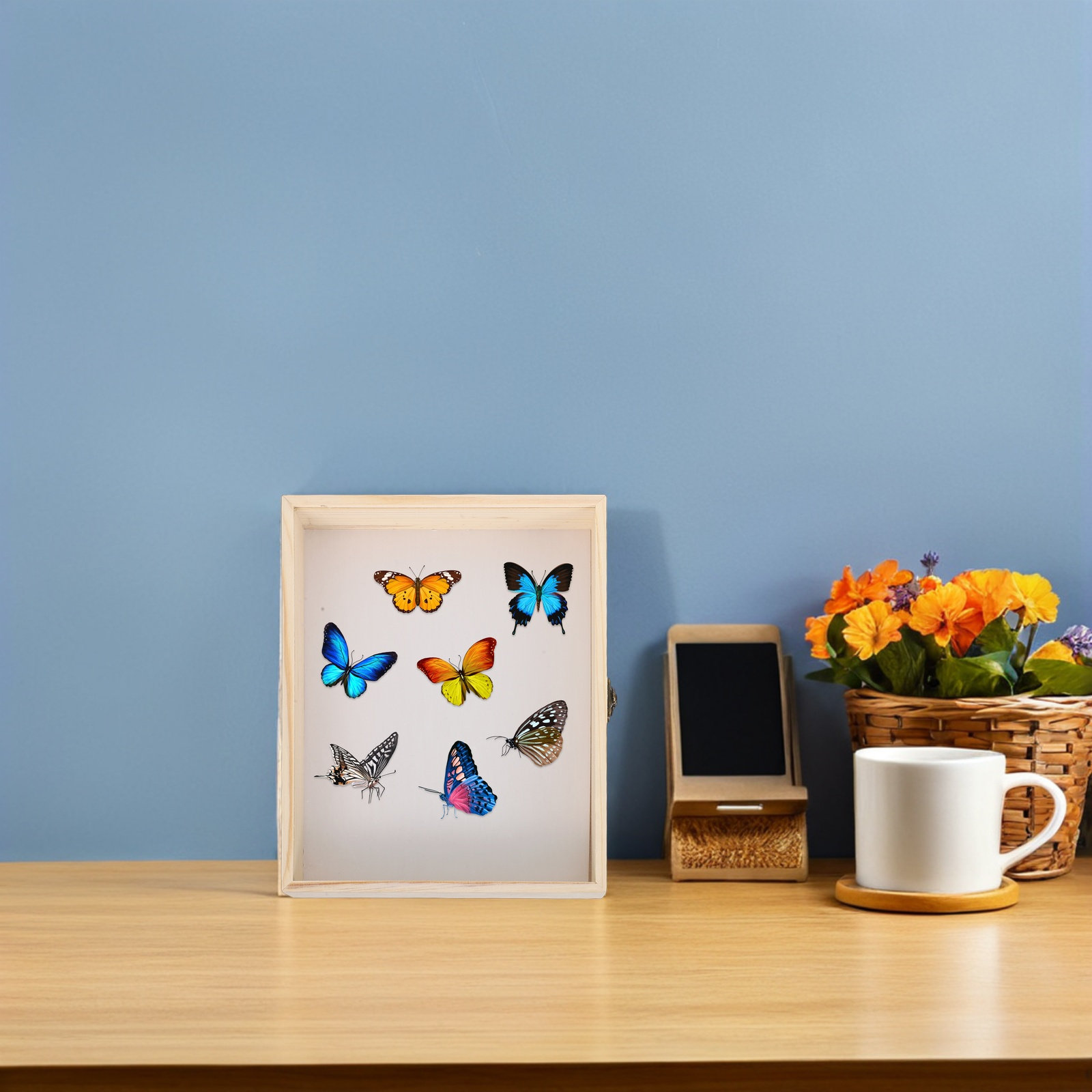 Solid Wood Insect Specimen Dis - Science Project review and price