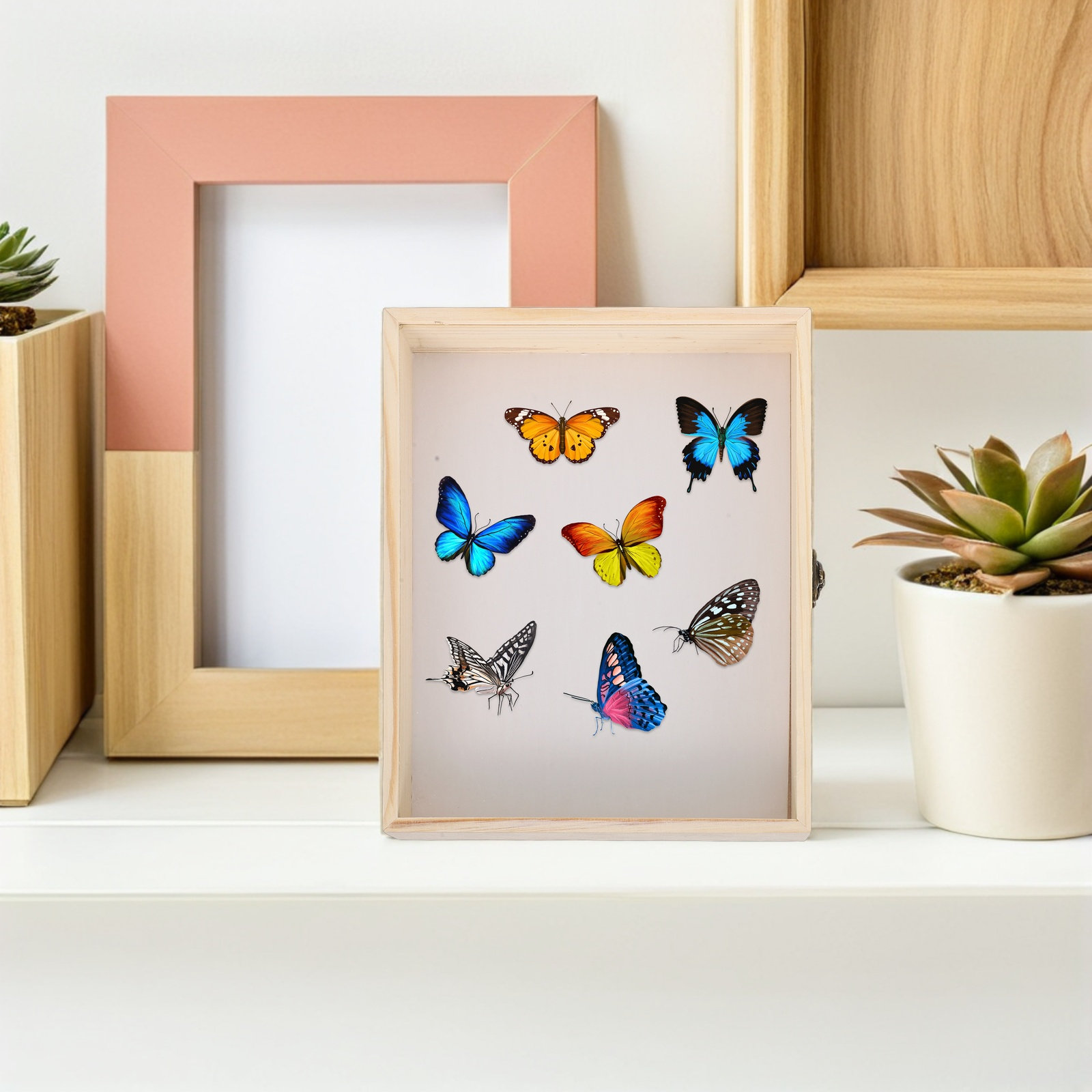 Solid Wood Insect Specimen Dis - Science Project review and price