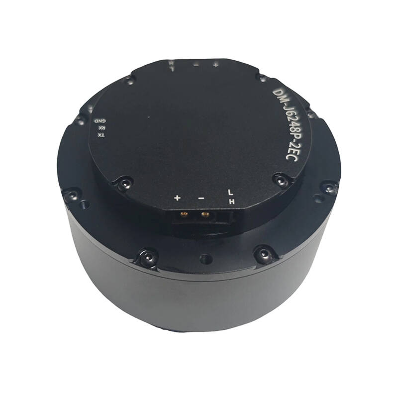 DAMIAO DM-J6248P-2EC Industria - Robot Arm Motor review and price